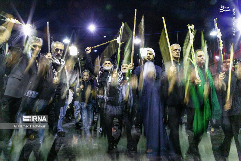 عکس/ شاخسی گویان تبریز