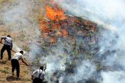اختلاف زن و شوهر بوکانی ۷ هکتار مزرعه گندم را به آتش کشاند