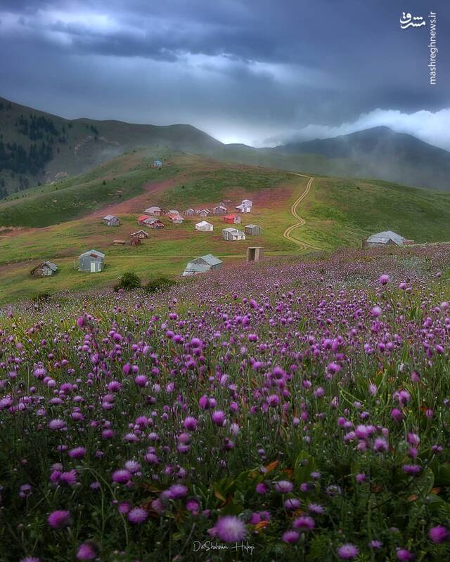 عکسی چشم‌نواز از ییلاق سلانسر، گیلان