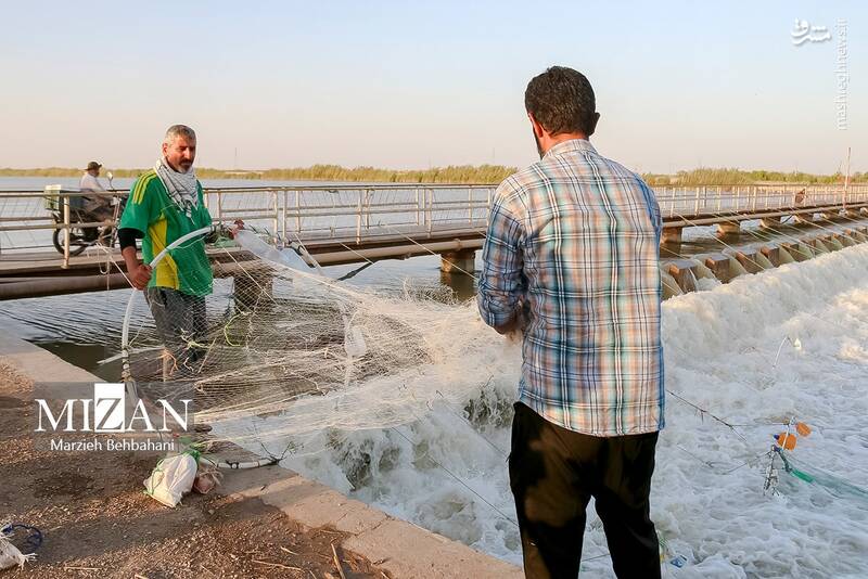 عکس/ صید ماهی روی پل صنگور آبادان