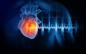 باورهای اشتباه رایج در مورد بیماری‌های قلبی
