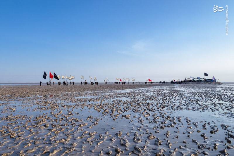 عکس/ آغاز پیادهروی اربعین از جنوبیترین نقطه عراق