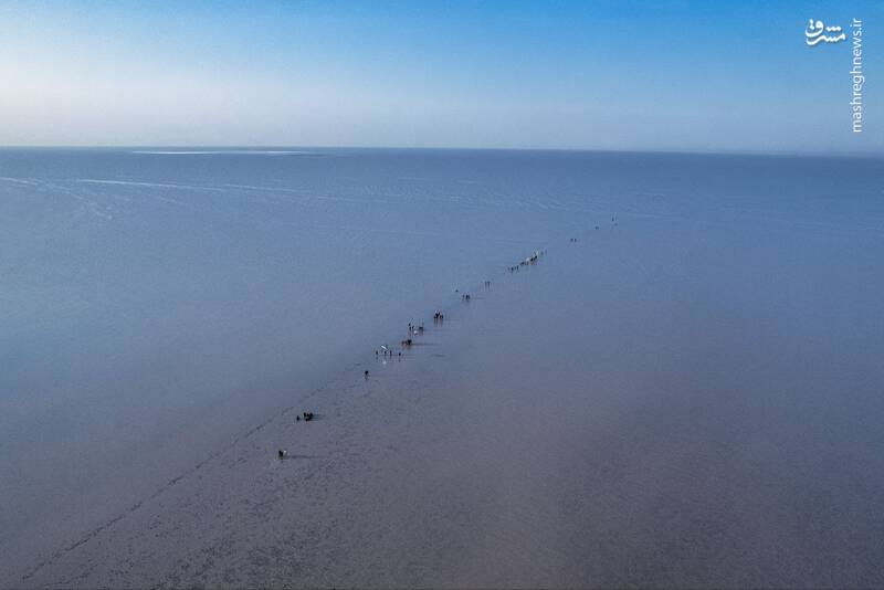 عکس/ آغاز پیادهروی اربعین از جنوبیترین نقطه عراق