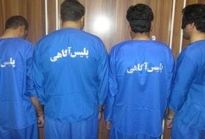 زورگیران خشن شهرستان ملارد در دام پلیس