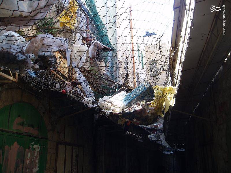 تصاویری از رذالت صهیونیستها در کرانه باختری