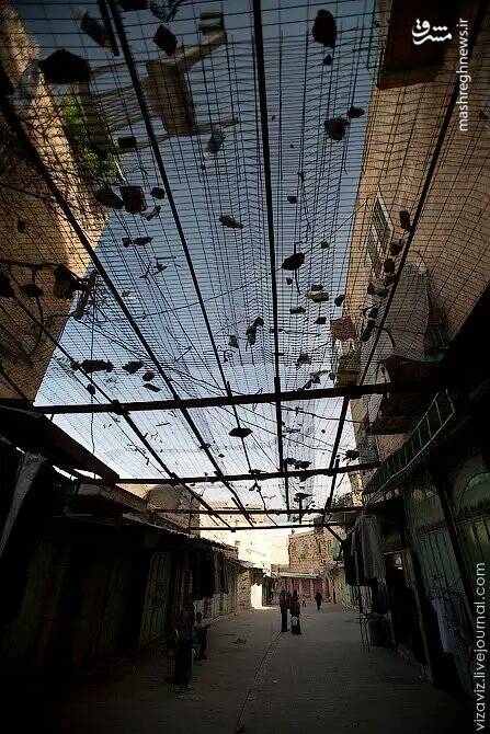 تصاویری از رذالت صهیونیستها در کرانه باختری