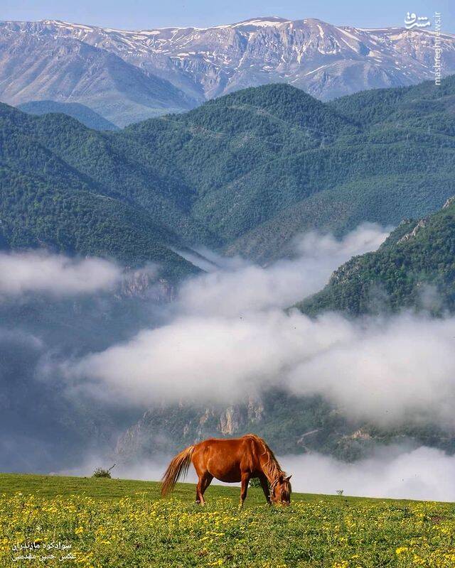 عکسی از طبیعت دلربای سواد کوه مازندران