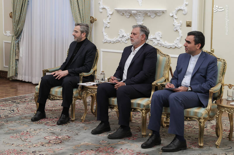 عکس/دیدار وزیر امور خارجه اردن با پزشکیان