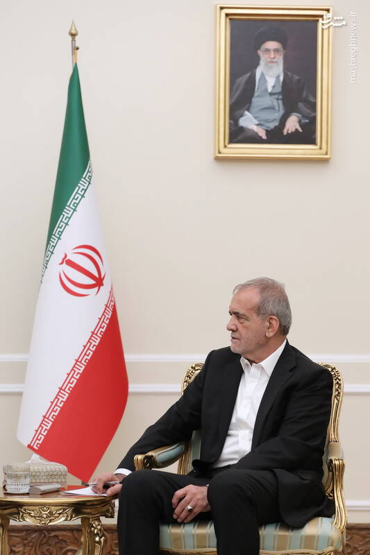 عکس/دیدار وزیر امور خارجه اردن با پزشکیان