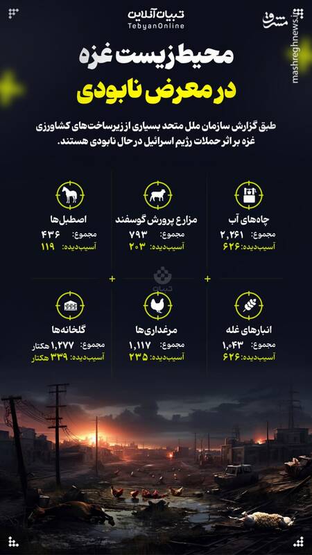 اینفوگرافیک/ محیط‌ زیست غزه در معرض نابودی