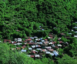 روستای سرسبز چلی در استان گلستان