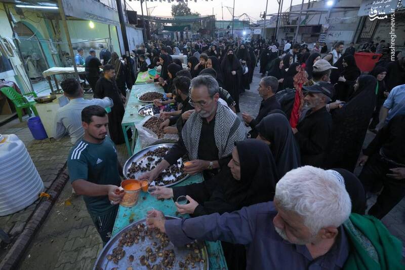 عکس/ پذیرایی از زائران اربعین در سامرا