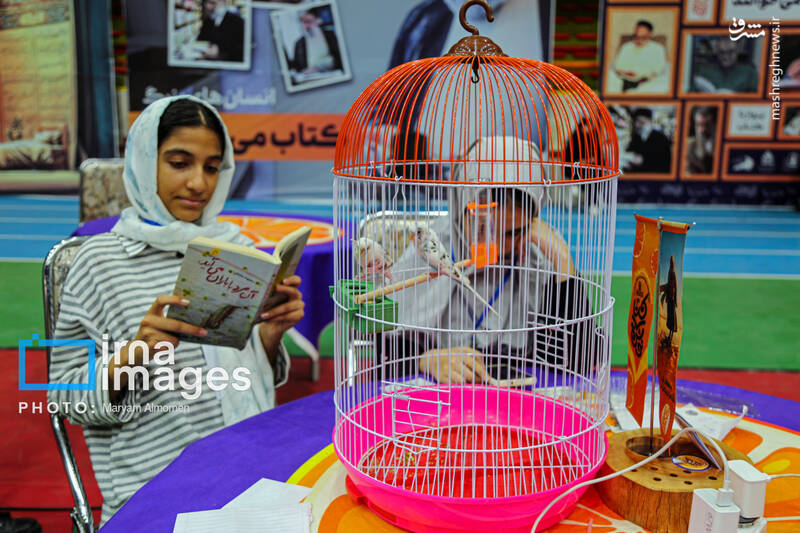 عکس / جشنواره ملی کتابخوانی «کتابنوش» 13