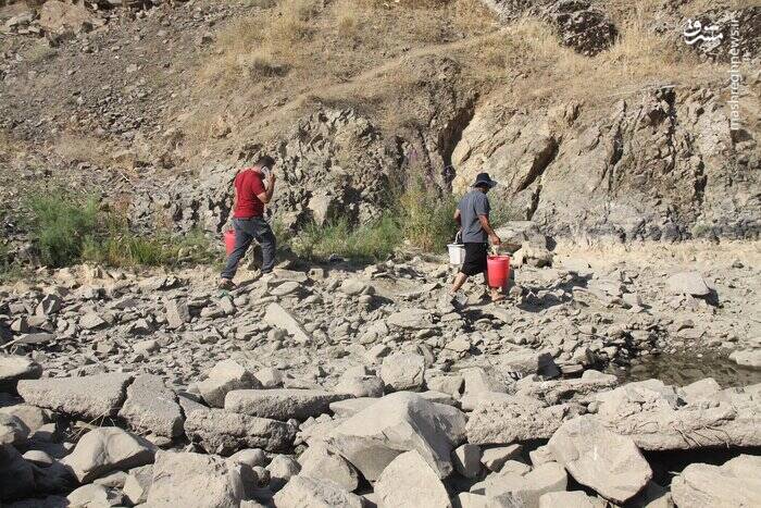 چند و چون مرگ دستهجمعی ماهیها در رودخانه مهاباد + فیلم