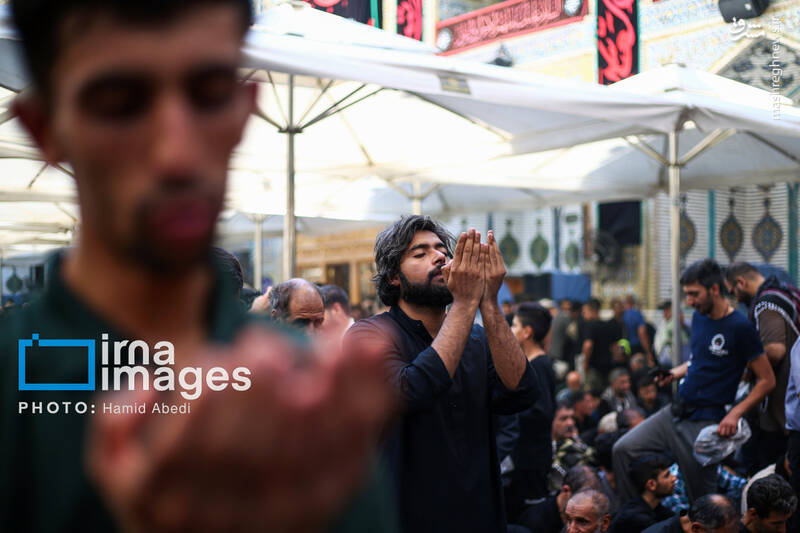 عکس/ حرم امیرالمومنین علی(ع) در آستانه اربعین حسینی