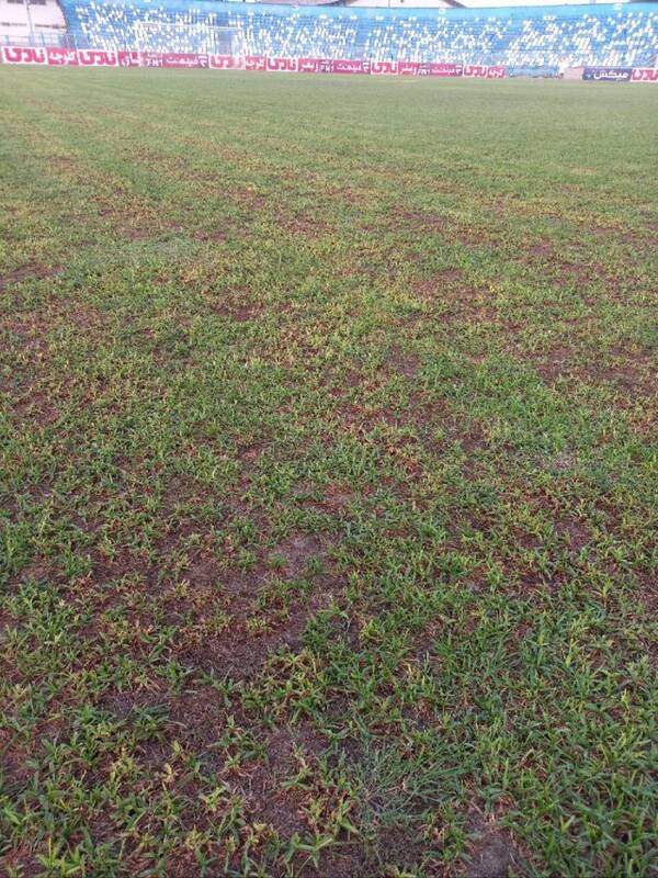 عجیبترین لیگ حرفهای جهان؛ میزبانهای ناخوانده! 3