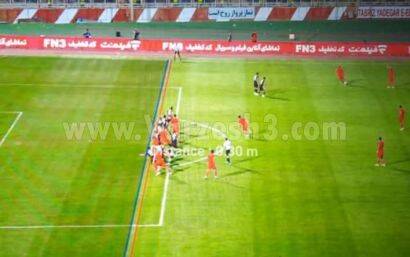 کارشناسی گل شجاع در تصاویری که ندیدهاید! +فیلم