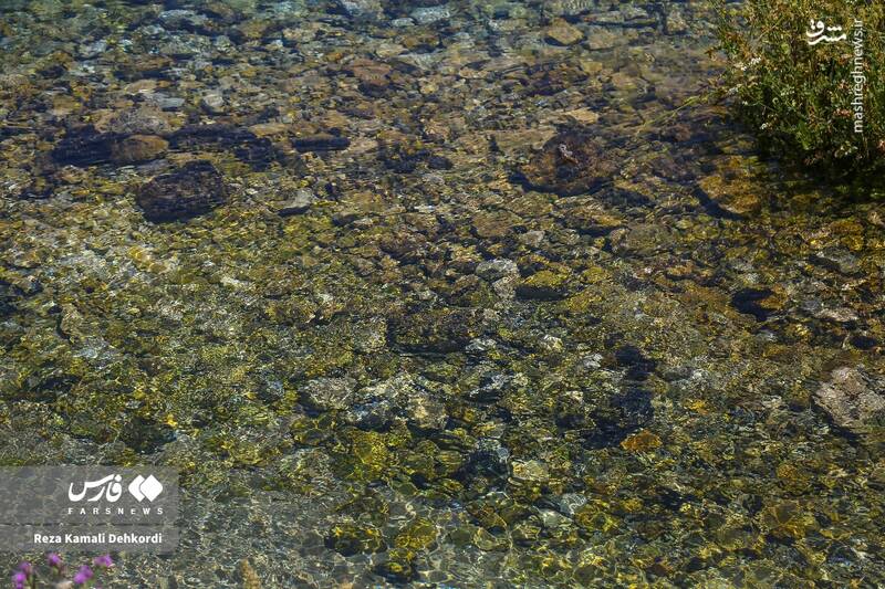 عکس/ منطقه گردشگری «دیمه»