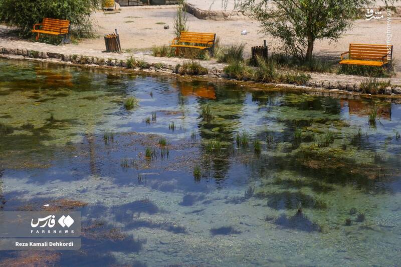 عکس/ منطقه گردشگری «دیمه»