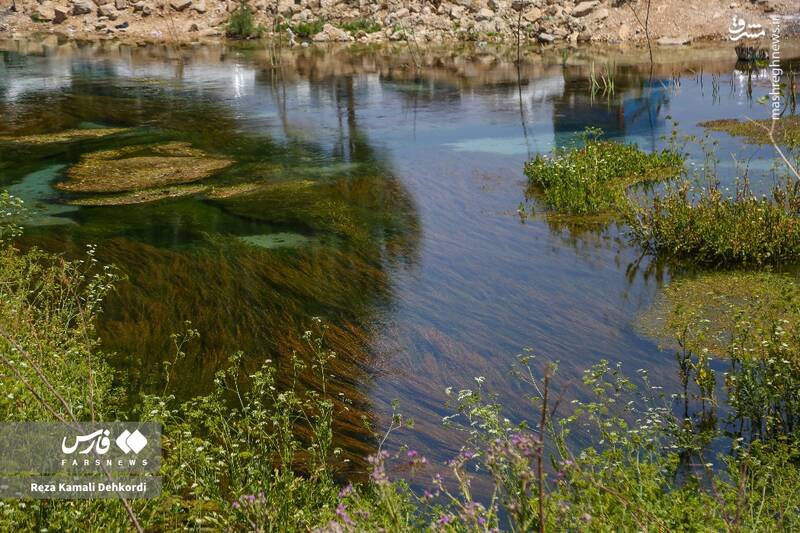 عکس/ منطقه گردشگری «دیمه»