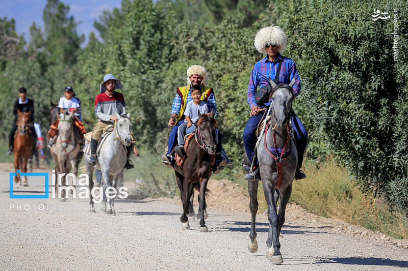 عکس/ کاروان سوارکاران بجنورد در راه مشهد الرضا (ع)