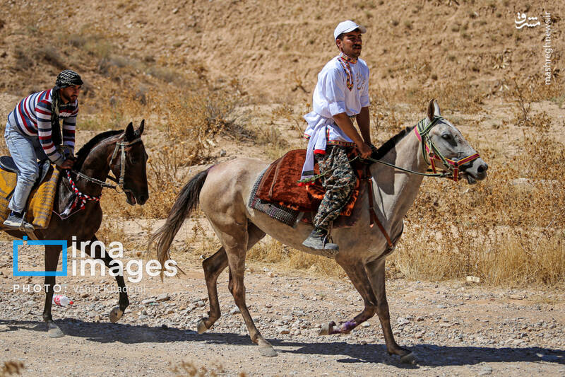 عکس/ کاروان سوارکاران بجنورد در راه مشهد الرضا (ع)