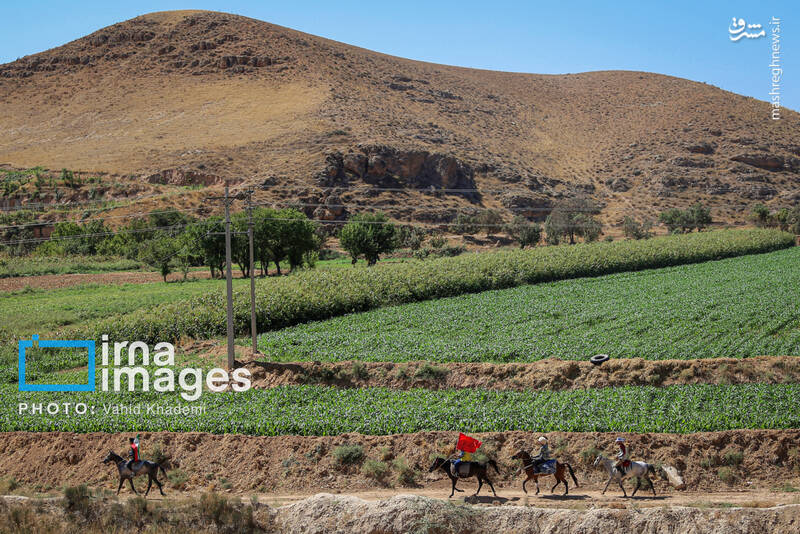 عکس/ کاروان سوارکاران بجنورد در راه مشهد الرضا (ع)