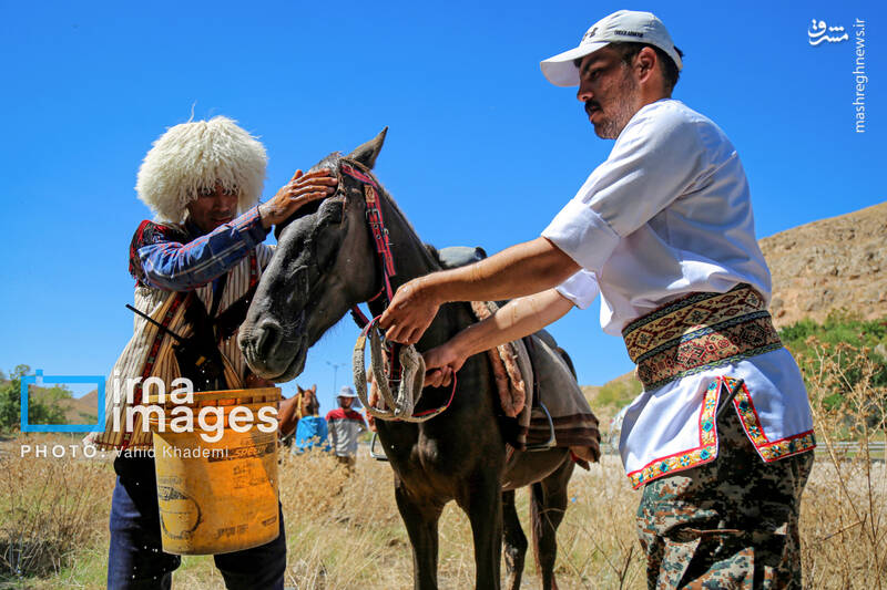 عکس/ کاروان سوارکاران بجنورد در راه مشهد الرضا (ع)