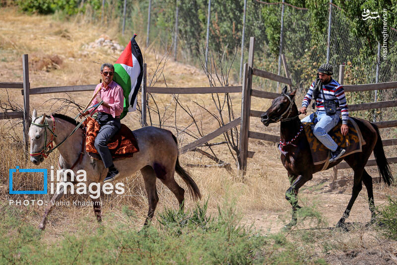 عکس/ کاروان سوارکاران بجنورد در راه مشهد الرضا (ع)