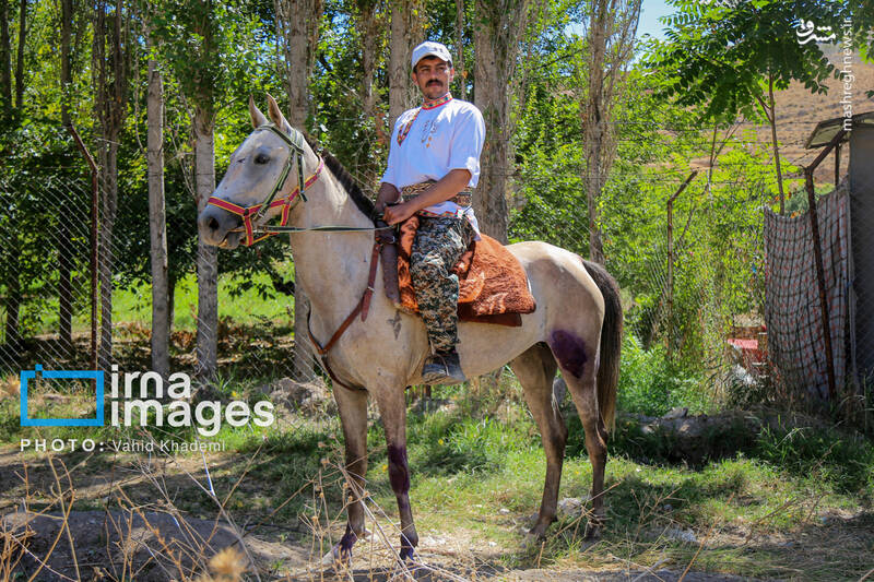 عکس/ کاروان سوارکاران بجنورد در راه مشهد الرضا (ع)