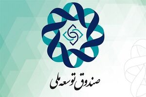 رفع ناترازی برق با حمایت صندوق توسعه ملی