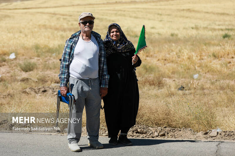 زائران پیاده امام رضا (ع)