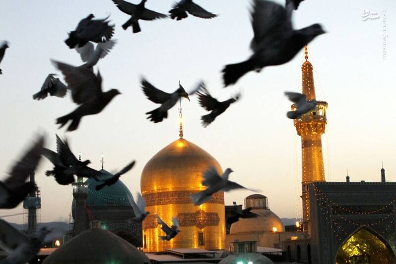 علی بن موسی الرضا (ع) از ولادت تا به شهادت / هدف مامون از اجبار امام رضا (ع) به پذیرش ولایتعهدی 5