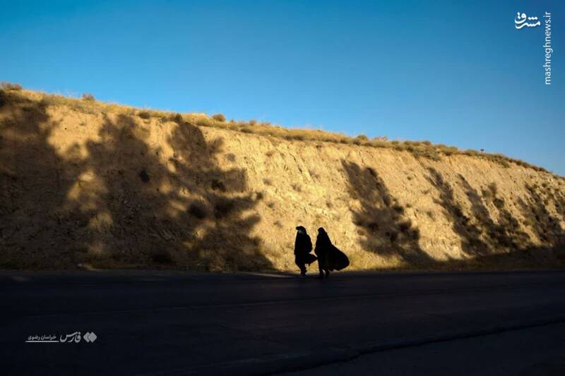 عاشقانههای صادقانه/ مسیری که جز زیبایی چیزی ندارد