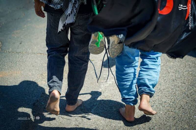 عاشقانههای صادقانه/ مسیری که جز زیبایی چیزی ندارد