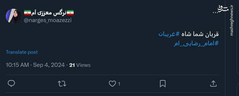 توئیتهای کاربران فضای مجازی به مناسبت شهادت امام رضا(ع)