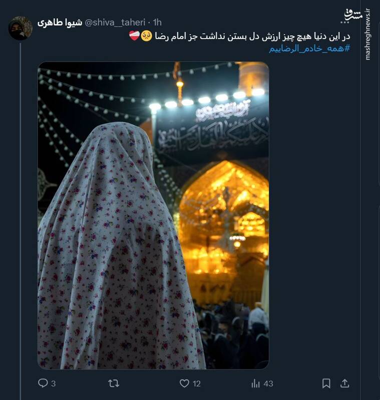 توئیتهای کاربران فضای مجازی به مناسبت شهادت امام رضا(ع)