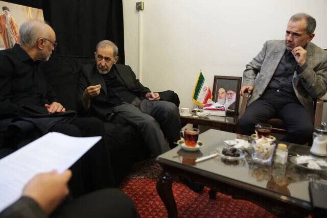 دیدار صالحی، سنایی و تختروانچی با ولایتی