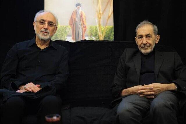 دیدار صالحی، سنایی و تختروانچی با ولایتی