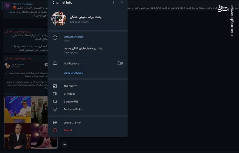 پولپاشی دلاری شبکه نمایش خانگی در رسانهها با هدف تخریب رقبا /چند میگیری کانال تلگرامی تاسیس کنی؟