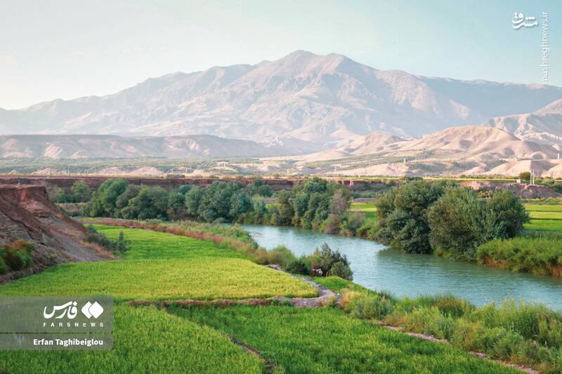 عکس / طبیعت چشم نواز و زیبای طارم 18