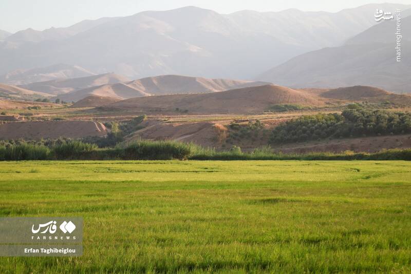 عکس / طبیعت چشم نواز و زیبای طارم 17
