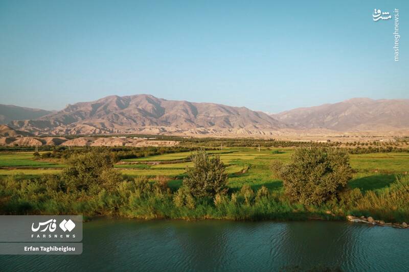 عکس / طبیعت چشم نواز و زیبای طارم 16