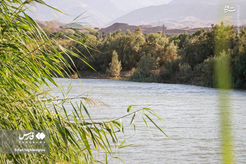 عکس / طبیعت چشم نواز و زیبای طارم 5