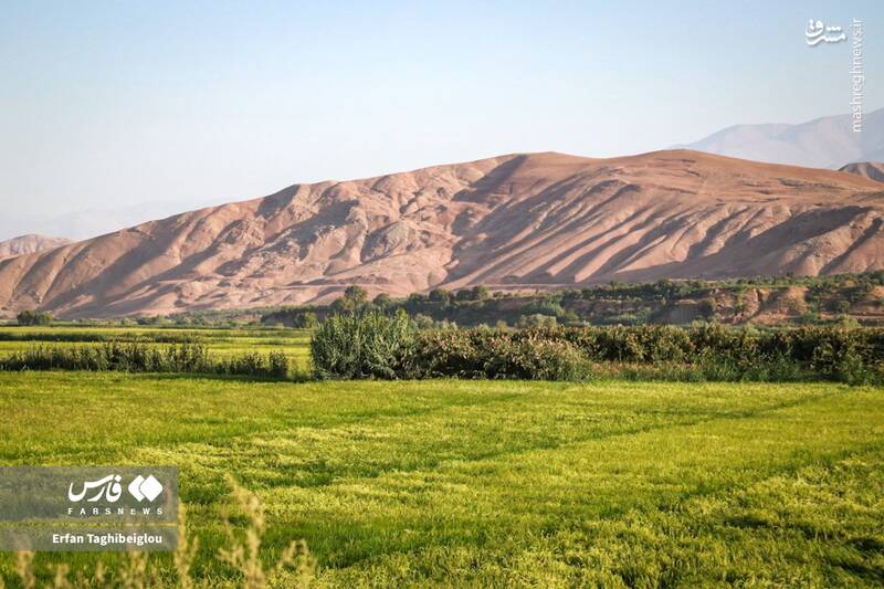 عکس / طبیعت چشم نواز و زیبای طارم 4