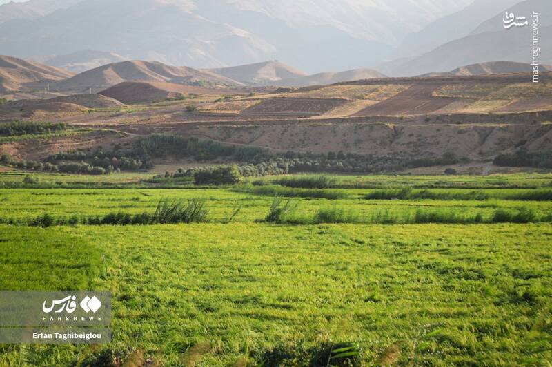 عکس / طبیعت چشم نواز و زیبای طارم 2