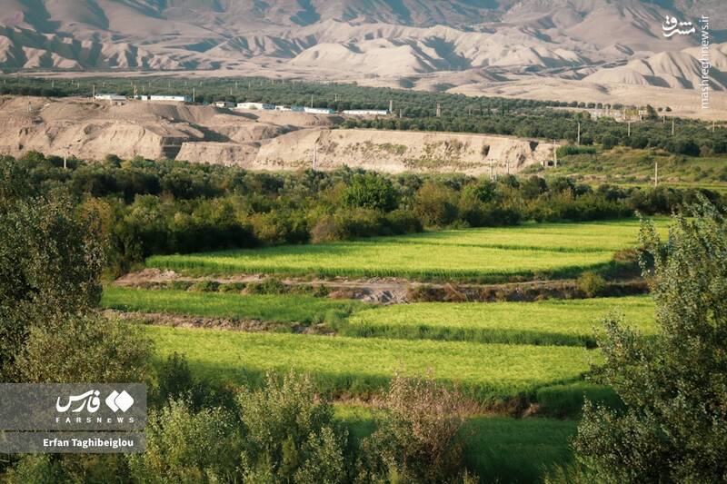 عکس / طبیعت چشم نواز و زیبای طارم