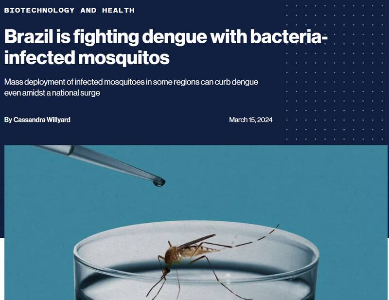 پشههای «بیل گیتس» و آزمایش مرگبار روی مردم / افزایش چهاربرابری دنگی در برزیل بعد از رهاسازی پشههای آلوده+عکس