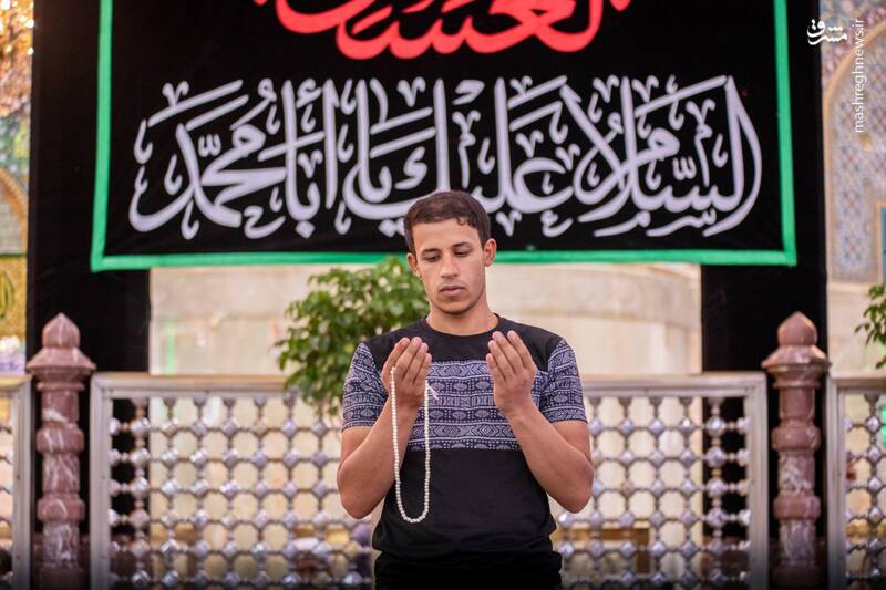 عکس/ کتیبههای شهادت امام حسن عسکری(ع) در کربلا