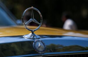 عکس / دورهمی بنزهای کلاسیک در کاخ سعدآباد